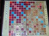 /photo_album/A_Day_in_the_Life/Scrabble/pic_7859.jpg